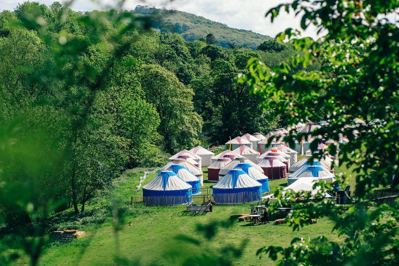 Festival Yurts