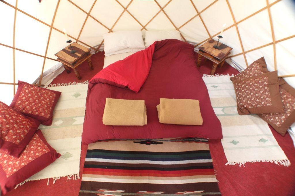 Festival Yurts
